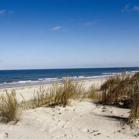 Taru La Palmyre * Les Mathes