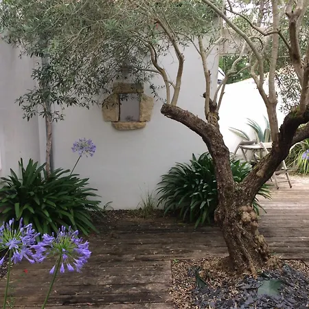 Taru La Palmyre Dom wakacyjny