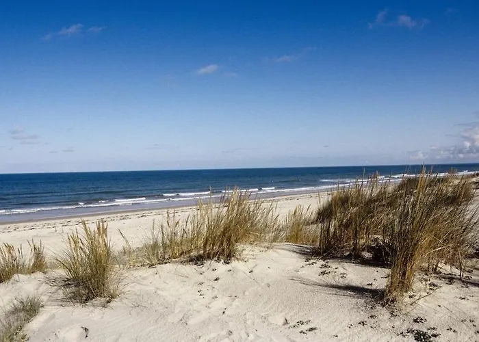 Taru La Palmyre * Les Mathes